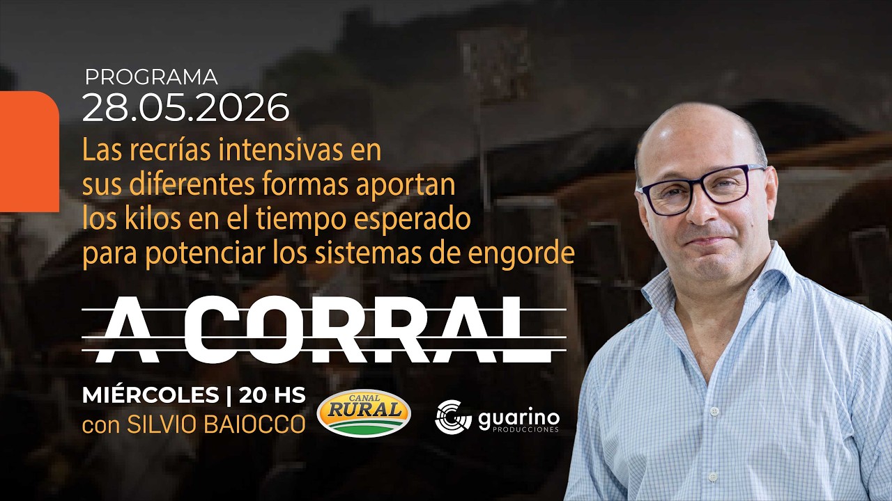 Las recrías en diferentes formas aportan los kilos en  tiempo esperado para potenciar  el  engorde