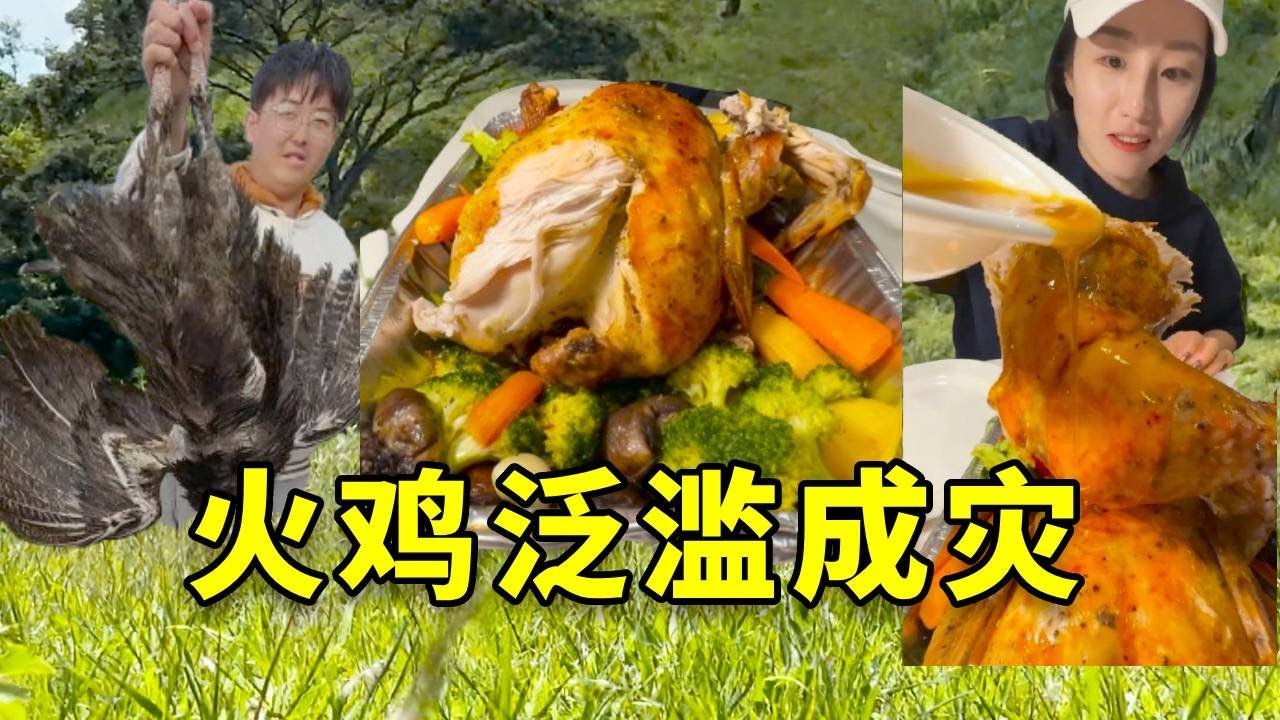 听说新西兰火鸡泛滥成灾，我带女友火速前往新西兰，尝尝大名鼎鼎的火鸡是什么味道！ #大豪夫妇 #户外