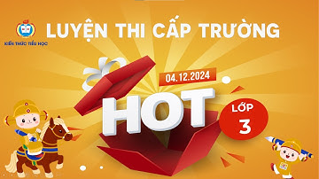 ĐỀ ÔN ĐẶC BIỆT (4) LỚP 3 - VÒNG CẤP TRƯỜNG - TRẠNG NGUYÊN TIẾNG VIỆT (2024 - 2025)