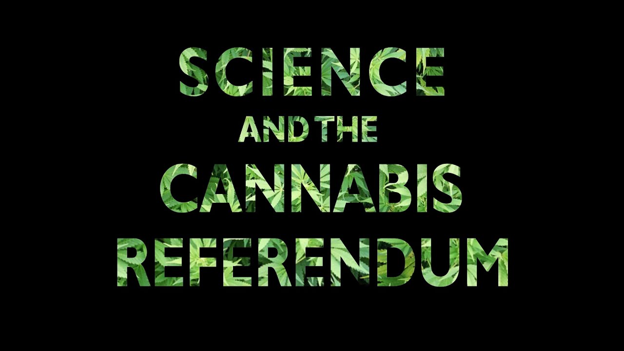 Science and the Cannabis Referendum