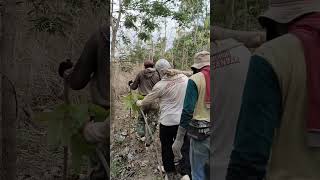 Download Lagu 8 𝙤𝙧𝙖𝙣𝙜 𝙢𝙞𝙠𝙪𝙡 𝙠𝙖𝙮𝙪 𝙥𝙚𝙣𝙙𝙚𝙠 𝙗𝙚𝙨𝙖𝙧 MP3