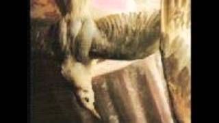 Ze Noiz - Shes Alright