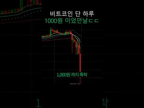 비트코인은 무조건 이때 샀어야 했다 ㄷㄷ