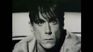 Iggy Pop - Real Wild Child (Wild One) (Official Video), Full HD (Digitally Remastered and Upscaled)
