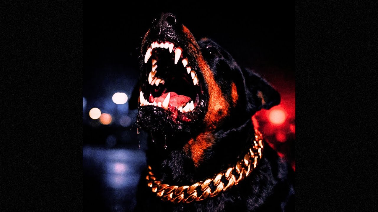 [Free] 21 Savage x Drake Type Beat - 