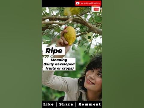 Daily English Word | Ripe | Meaning & Examples #shorts - YouTube