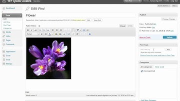 WordPress Quick Guide - Adding tags & categories to your posts