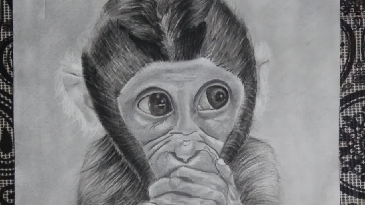 How To Draw a Monkey 🐒🐒/ Hyper Realistic Sketch of a Monkey/