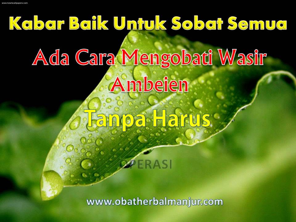 cara mengobati wasir luar