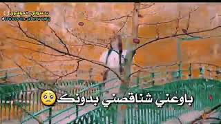 اني اعجبك😉! (طيف) ستوريات انستكرام"
