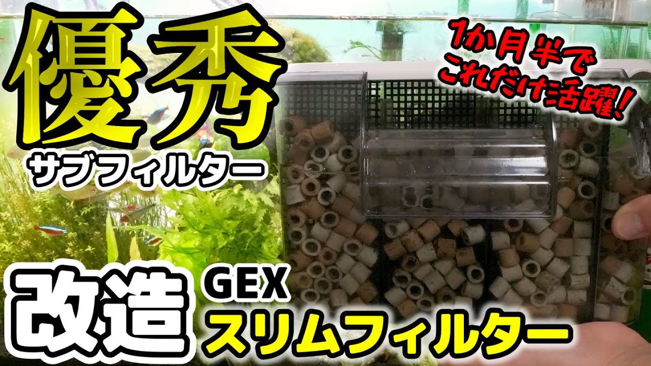 I want to make it when I see it! One and a half months of dirt on