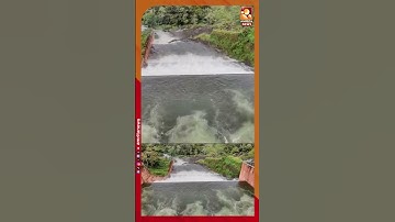 ഇടുക്കിയിൽ കനത്ത മഴ ; മുല്ലപ്പെരിയാര്‍ അണക്കെട്ടിന്റെ സ്പില്‍വേ ഷട്ടറുകള്‍ തുറന്നു | Mullaperiyar