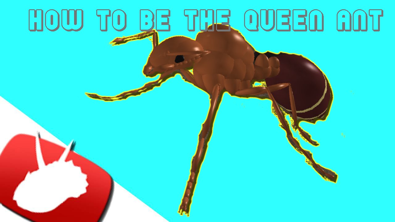 roblox-ant-simulator-how-to-be-the-queen-ant-youtube