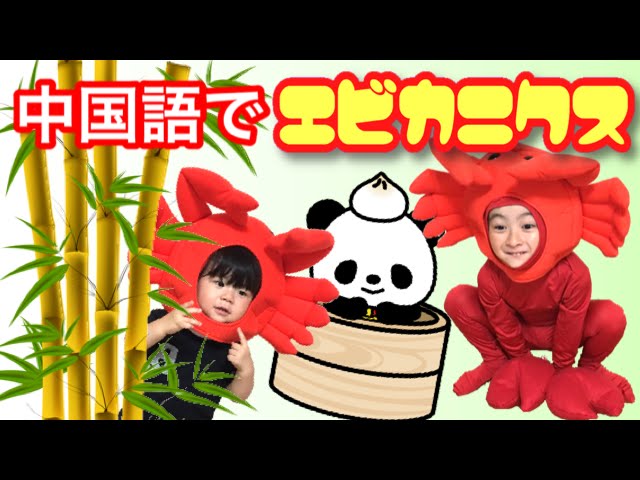 操地術 (中国語版) エビカニクス踊ってみた【中国語バージョン：虾和蟹的健美操】 - YouTube