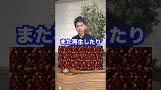 騙されたと思ってやってみてください。