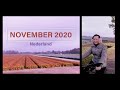 Herfst in Nederland. November 2020.