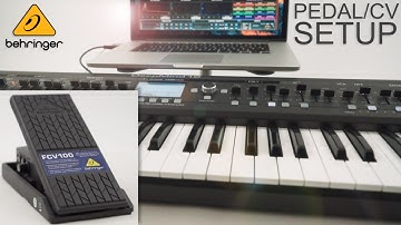 BEHRINGER DeepMind 12  - Pedal CV Setup Guide