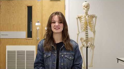Anatomy at Sheffield promotional video