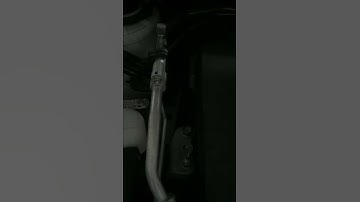 2011 Corolla start up rattle