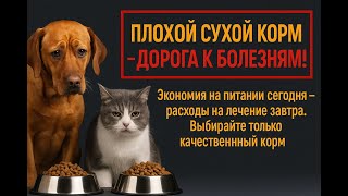 видео: Плохие сухие корма для собак и кошек-это не экономия, это начало многих серьезных болезней и затраты картинка: Плохие сухие корма для собак и кошек-это не экономия, это начало многих серьезных болезней и затраты