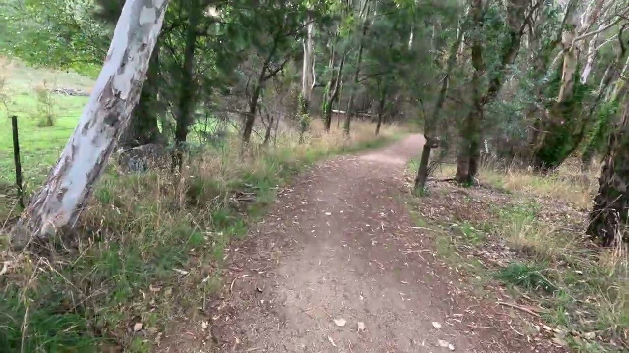 Trout lake Fishing vlog 25/2/26 part 5