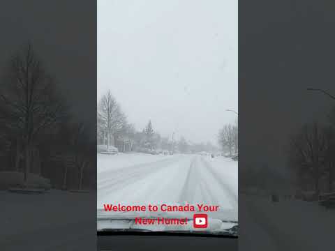 اونتاريو كندا ٢٥ يناير٢٠٢٣    25  2023