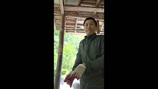체력단련 917일차 (턱걸이) [브레인 스포츠]