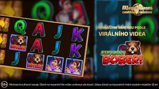 Ale fajny bober nově u nás na Magic Planet Online! 🦫