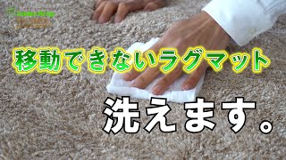 日本一のコインランドリー店長が教える、移動できないラグマットの洗濯方法！