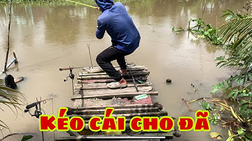 Câu Cá Tra Sông - Bãi Này Cục Mồi Đầu Tiên Chưa Được 5 Phút Là Dính Cá | Fishing - Miền Tây
