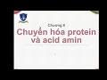 [Hóa Sinh Dược - Thầy Trung] Chương 8: Chuyển hóa Protein và acid amin Mp3 Song