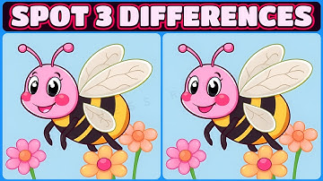 🤔Your Mission: Locate Three Sneaky Changes🧩 【#37 Brain Game Challenge Find 3 Differences】