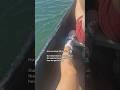 Our solar boat is anchored on the spanish beach and this is how we get to town