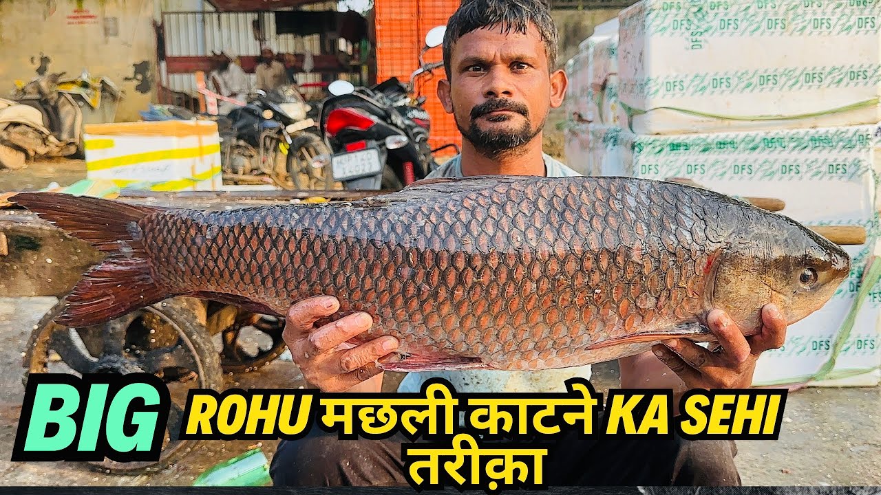Amazing 5kg  Rohu Fish Cutting Skills In Ghazipur Fish Market |Indian Fish Cutting Skills |