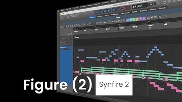 Figure (2): Segment Types