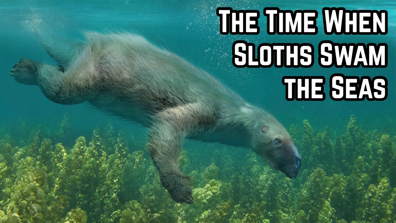 That Time When Sloths Swam the Seas