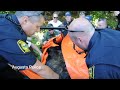 Moving A Moose