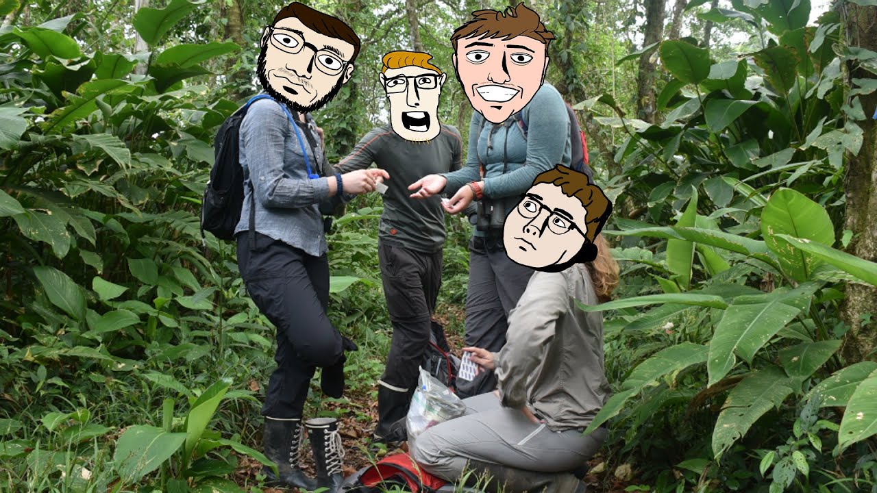 Survival of the Fittest - Green Hell (Highlights)