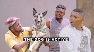 The Dog Is Active (Best Of Mark Angel Comedy)