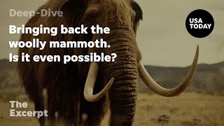 Bringing Back The Woolly Mammoth. Is It Even Possible? | The Excerpt