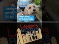 Landry’s bicycles weekly slow roll brings the community together