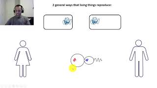 BIOL 107 Genetics Pt. 1: The Basics