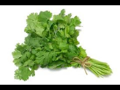 Соус из кинзы.