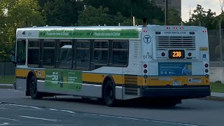 Yoshi & Alice: Superstar Saga [Part 3] | Yoshi's Ride Series {S33-E20} - Riding the 238 🚌 - {MBTA}