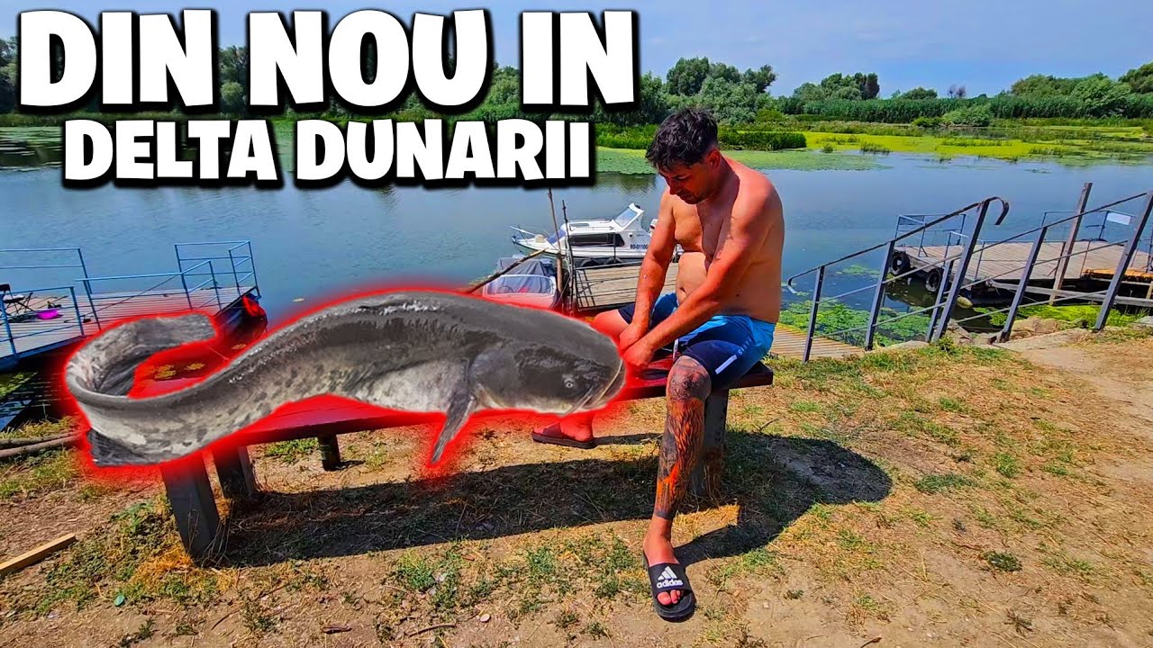 PESCUM LA SOMN IN DELTA DUNĂRII 