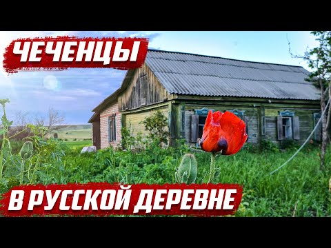 Приключение чеченцев в России! | Оренбургская обл, Бугурусланский район, д.Красная Глинка | Чечня