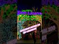 ZOO LIGHTS - National Zoo Washington DC 🎄🦁 #travel #shorts #fyp #christmas #washingtondc