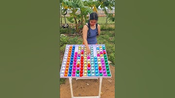 Ball Sort Puzzle Game Champion Brian Training #challenge #sortcolor #game  #puzzle #gameball