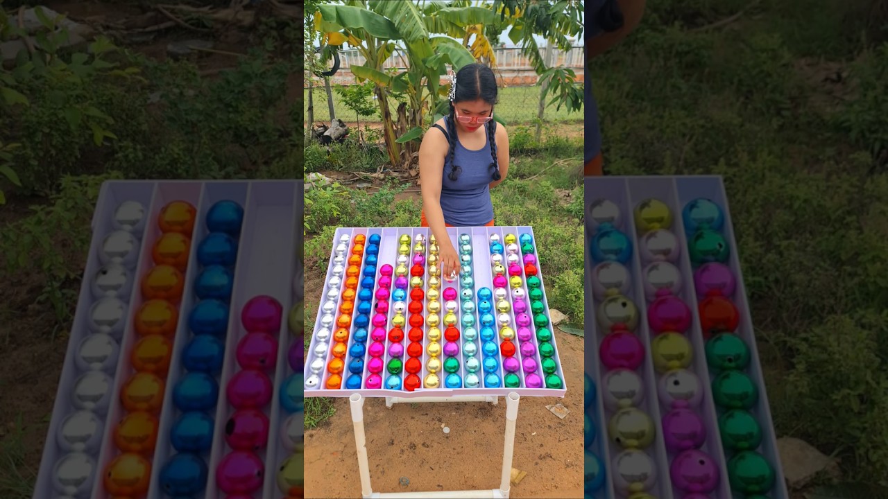 Ball Sort Puzzle Game Champion Brian Training 