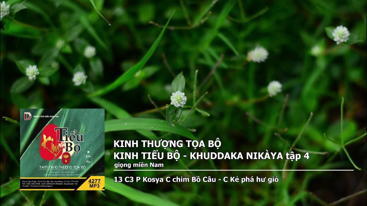 Tập 4 – 13 C3 P Kosya C chim Bồ Câu – C Kẻ phá hư giỏ giọng miền Nam 